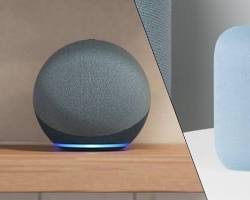 Amazon Echo and Google Nest smart speakers